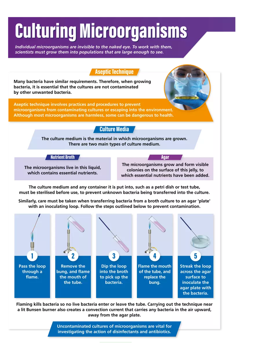 Culturing Microorganisms - Page 1