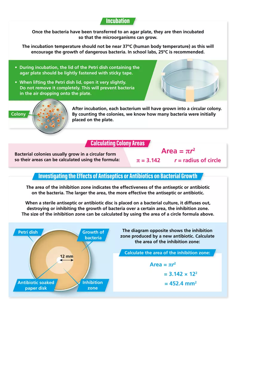 Culturing Microorganisms - Page 2