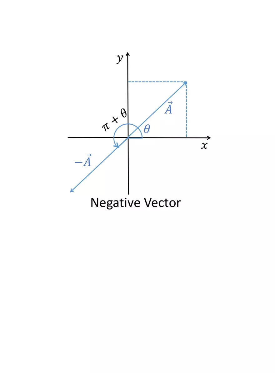 Vector in 2D Cartesian Coordinates - Page 6