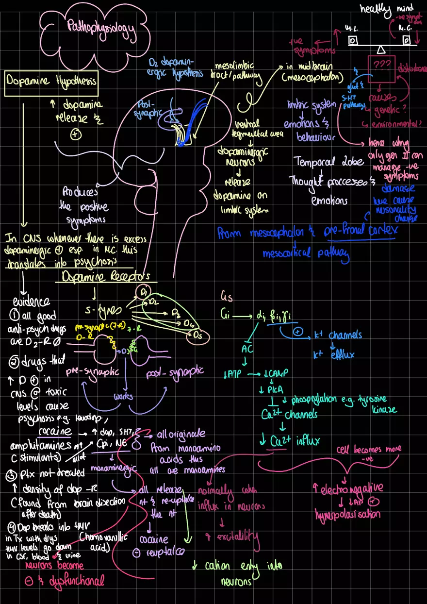 Anti Psychotics in Depth - Page 3