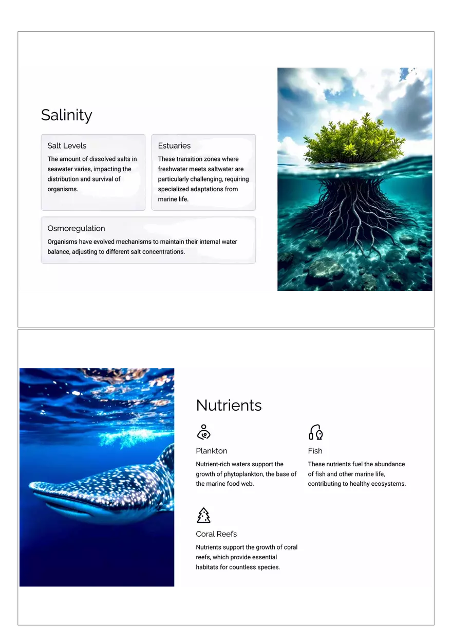 Abiotic Factors: Shaping Marine Life - Page 2