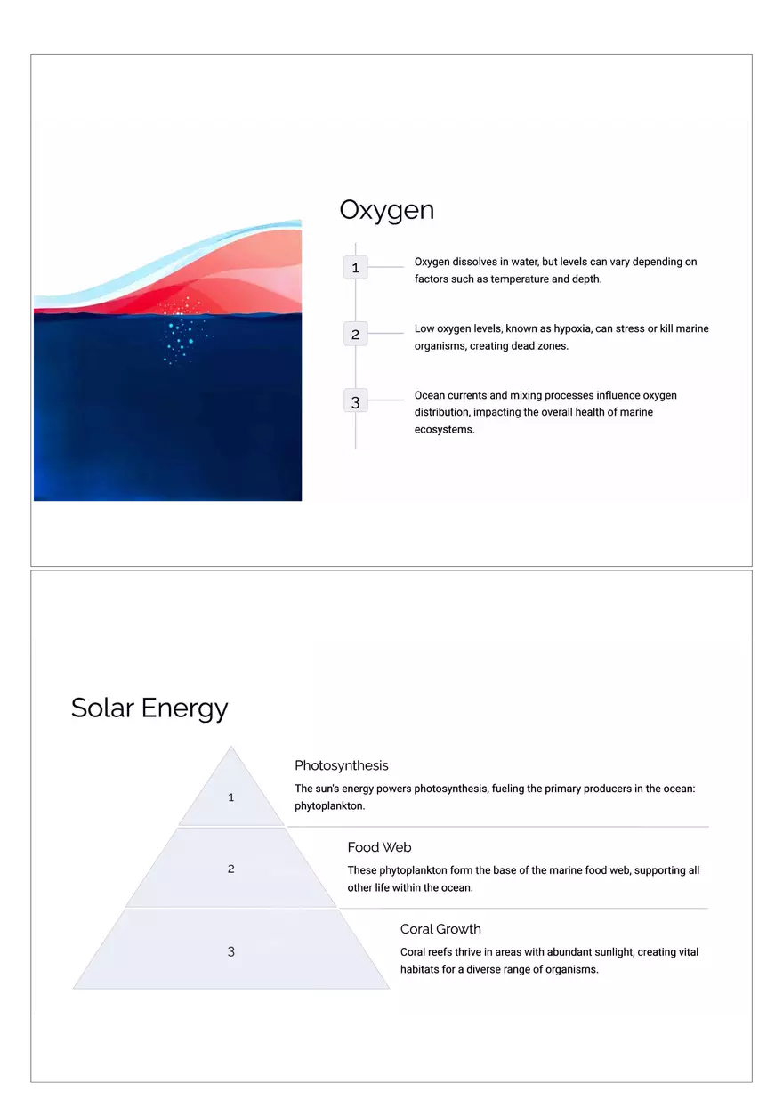 Abiotic Factors: Shaping Marine Life - Page 3
