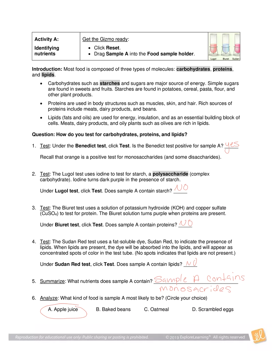 Gizmo Answers: Identifying Nutrients - Page 2