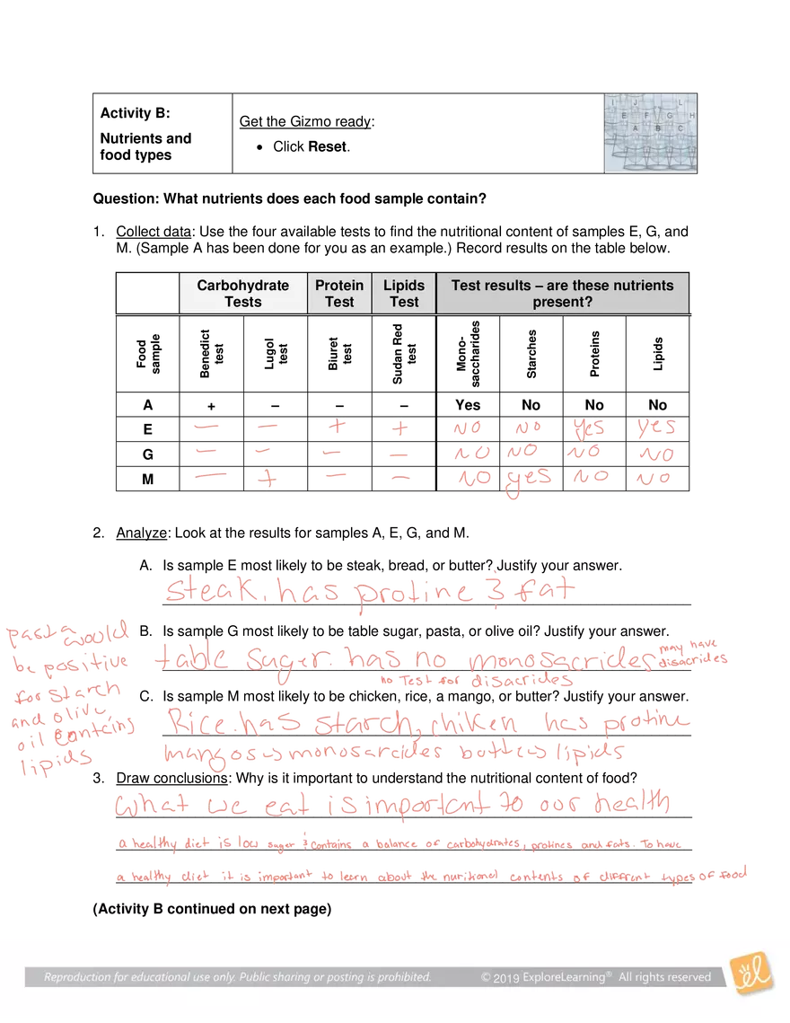 Gizmo Answers: Identifying Nutrients - Page 3