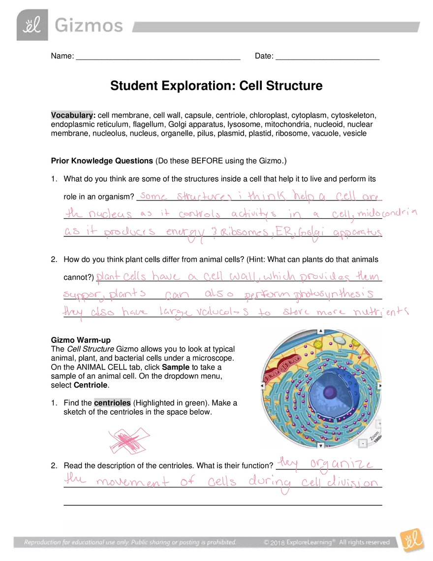 Gizmo Answers: Cell Structure - Page 1