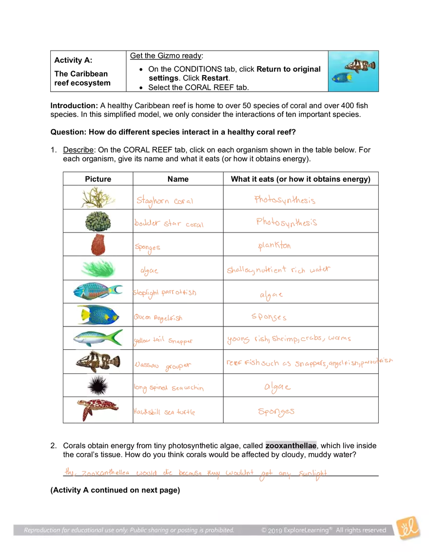 Student Exploration: Coral Reefs 1 – Abiotic Factors - Page 2