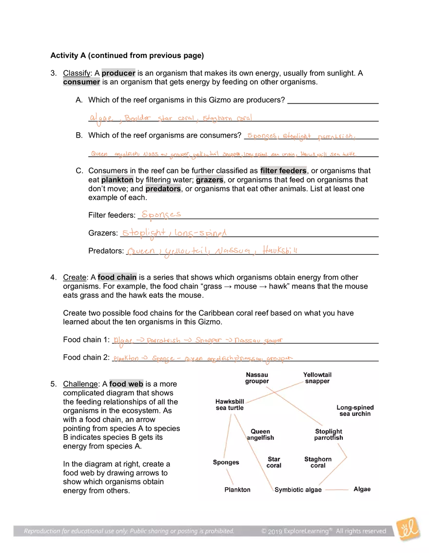 Student Exploration: Coral Reefs 1 – Abiotic Factors - Page 3
