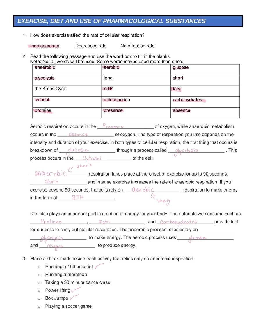 Metabolic Processes - Making Connections Questions - Page 2