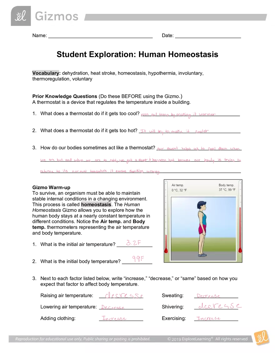 Student Exploration: Human Homeostasis - Page 1