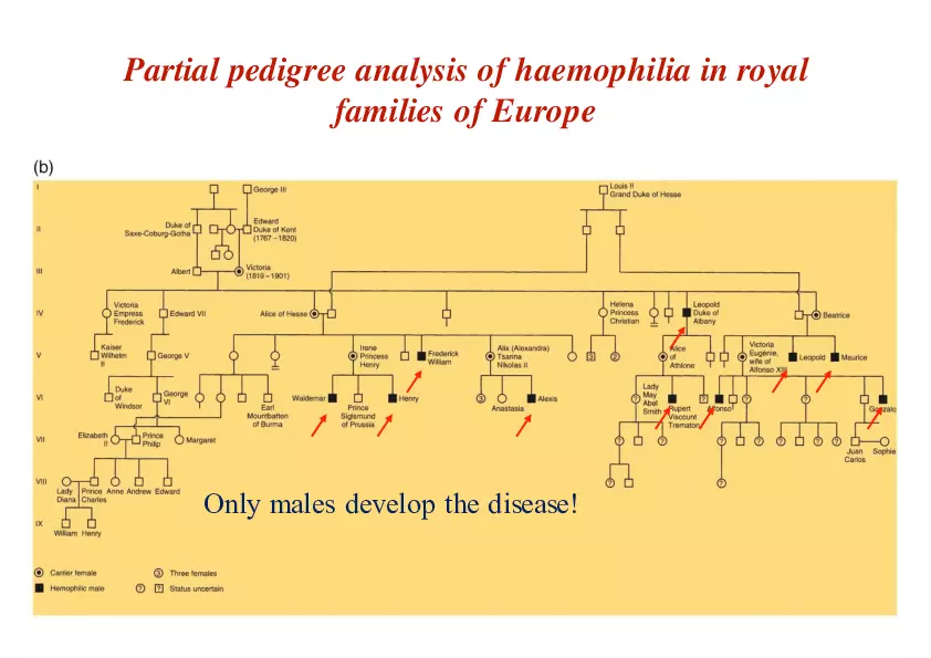 Pedigree Analysis - Presentation - Page 8