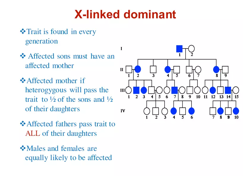 Pedigree Analysis - Presentation - Page 9