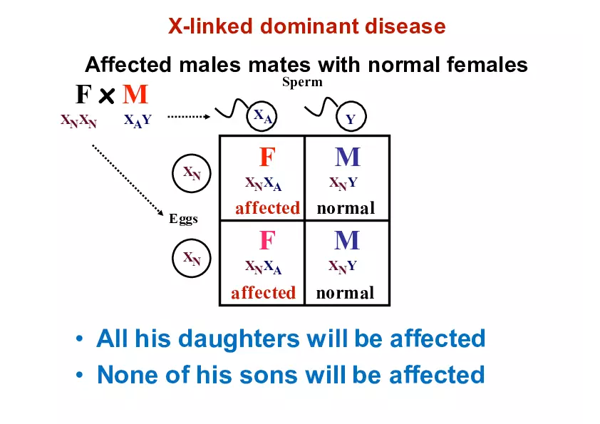 Pedigree Analysis - Presentation - Page 10