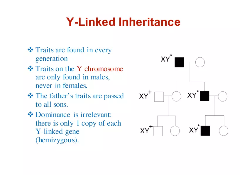 Pedigree Analysis - Presentation - Page 12