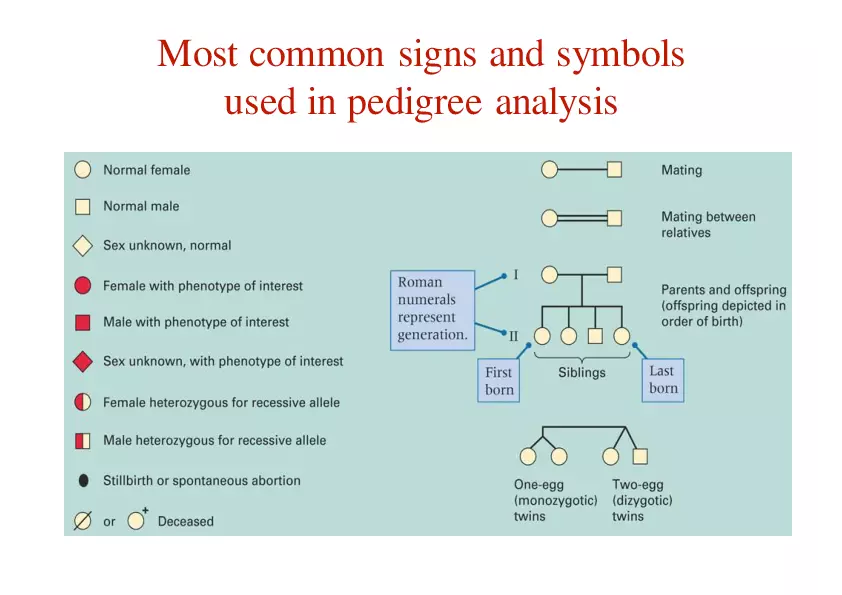 Pedigree Analysis - Presentation - Page 13