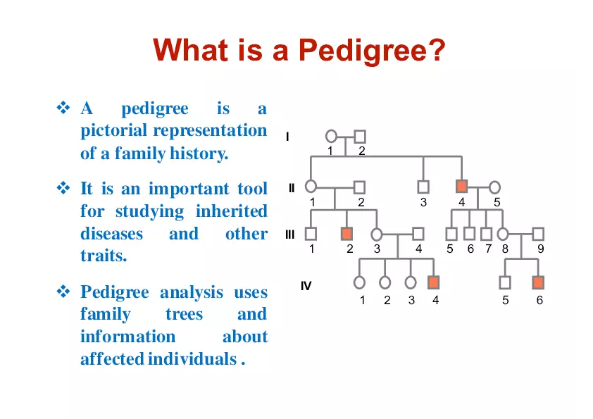 Pedigree Analysis - Presentation - Page 2