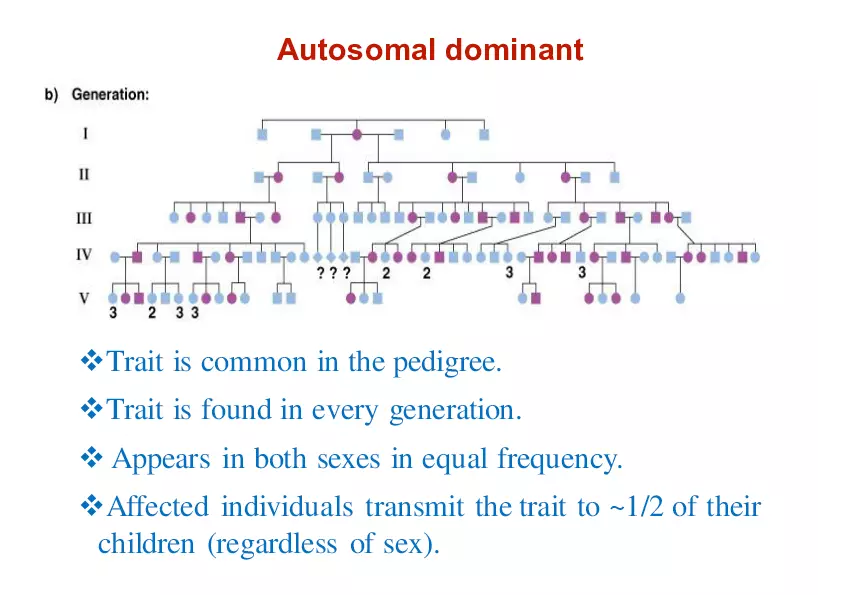 Pedigree Analysis - Presentation - Page 3