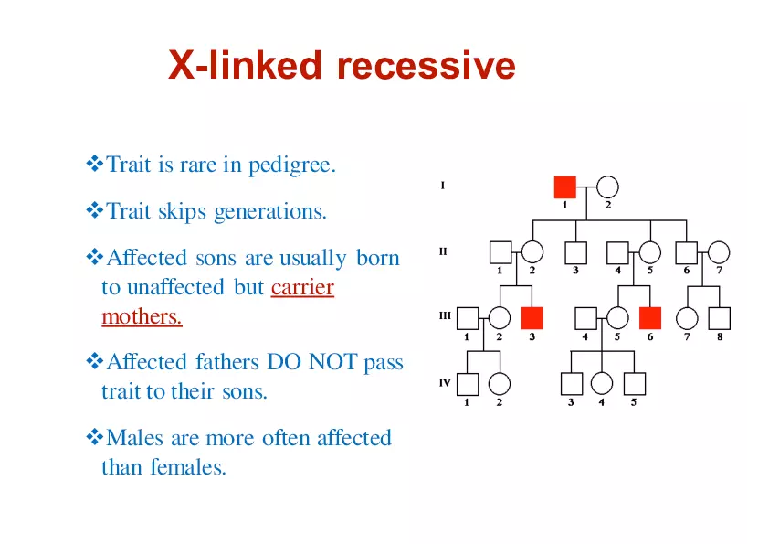 Pedigree Analysis - Presentation - Page 5