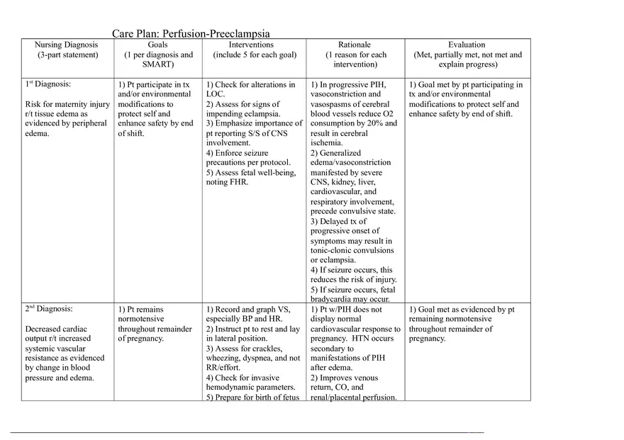 Perfusion Preeclampsia Care Plan Postwork - Page 1