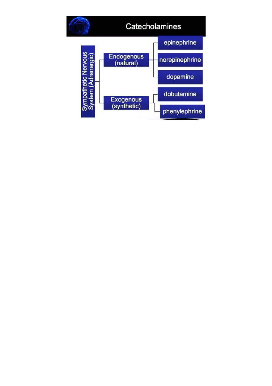 Assessment of Cardiovascular Function Part 3 - Page 6