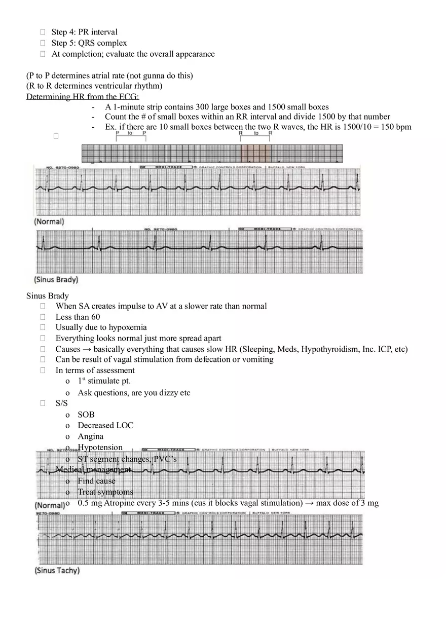 Assessment of Cardiovascular Function Part 2 - Page 7