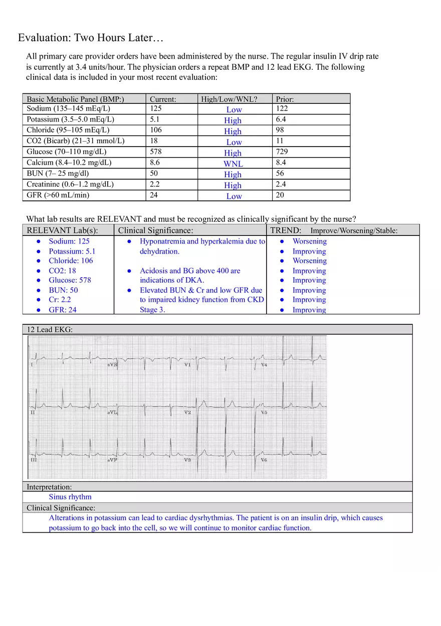 Diabetic Ketoacidosis (DKA) Case Study - Page 3
