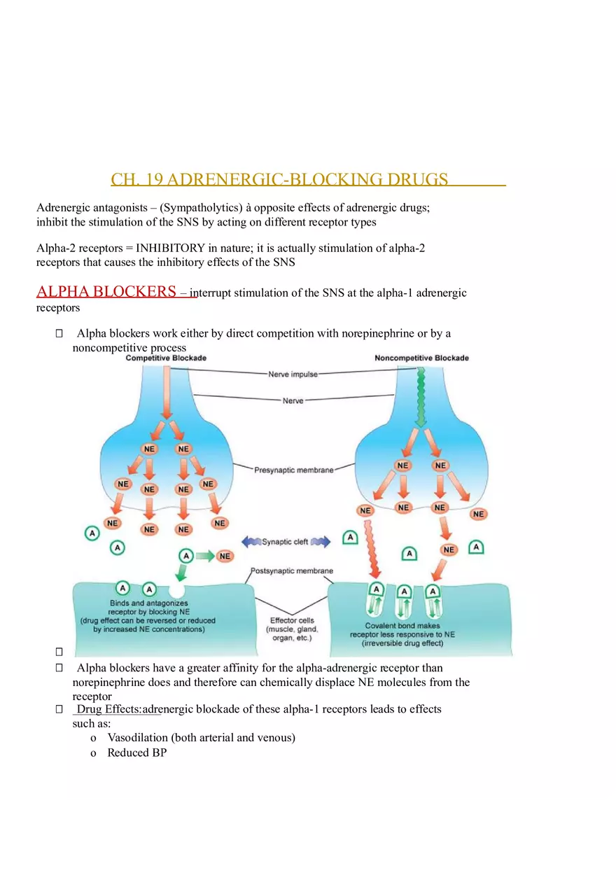Assessment of Cardiovascular Function Part 4 - Page 7
