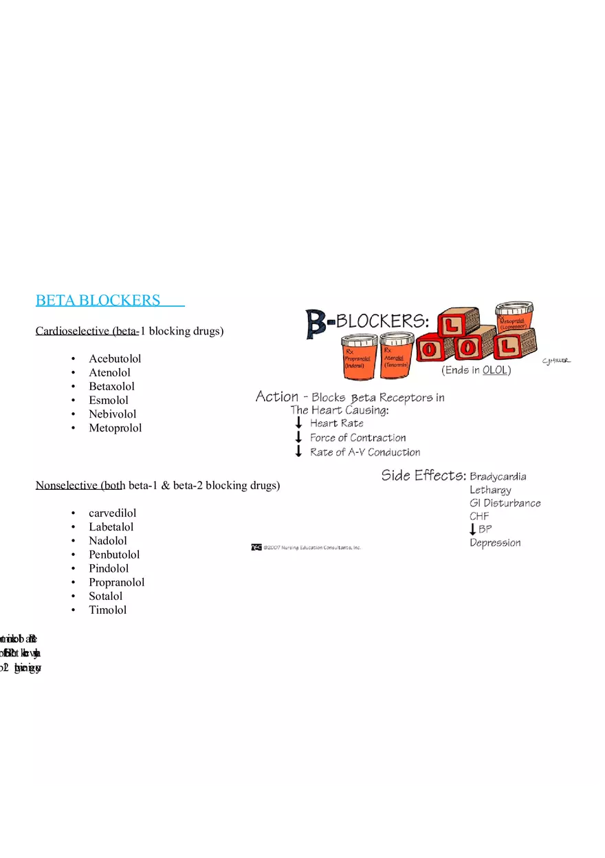 Assessment of Cardiovascular Function Part 4 - Page 13