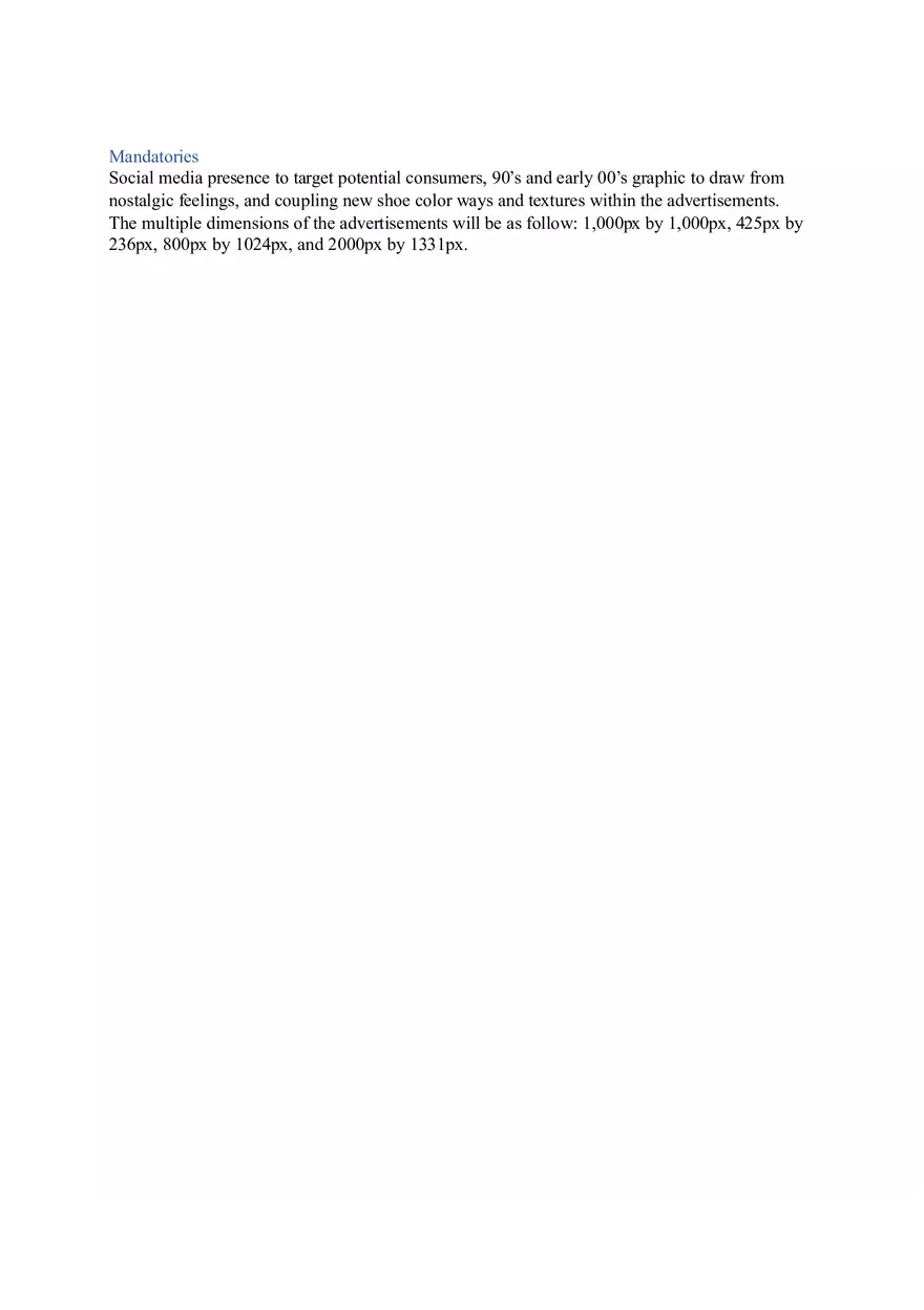 Project - Nike SB Creative Brief - Page 2