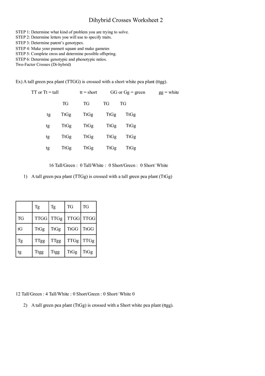 Dihybrid Crosses Worksheet - Page 1