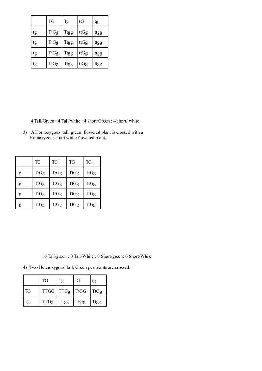 Dihybrid Crosses Worksheet - Page 2