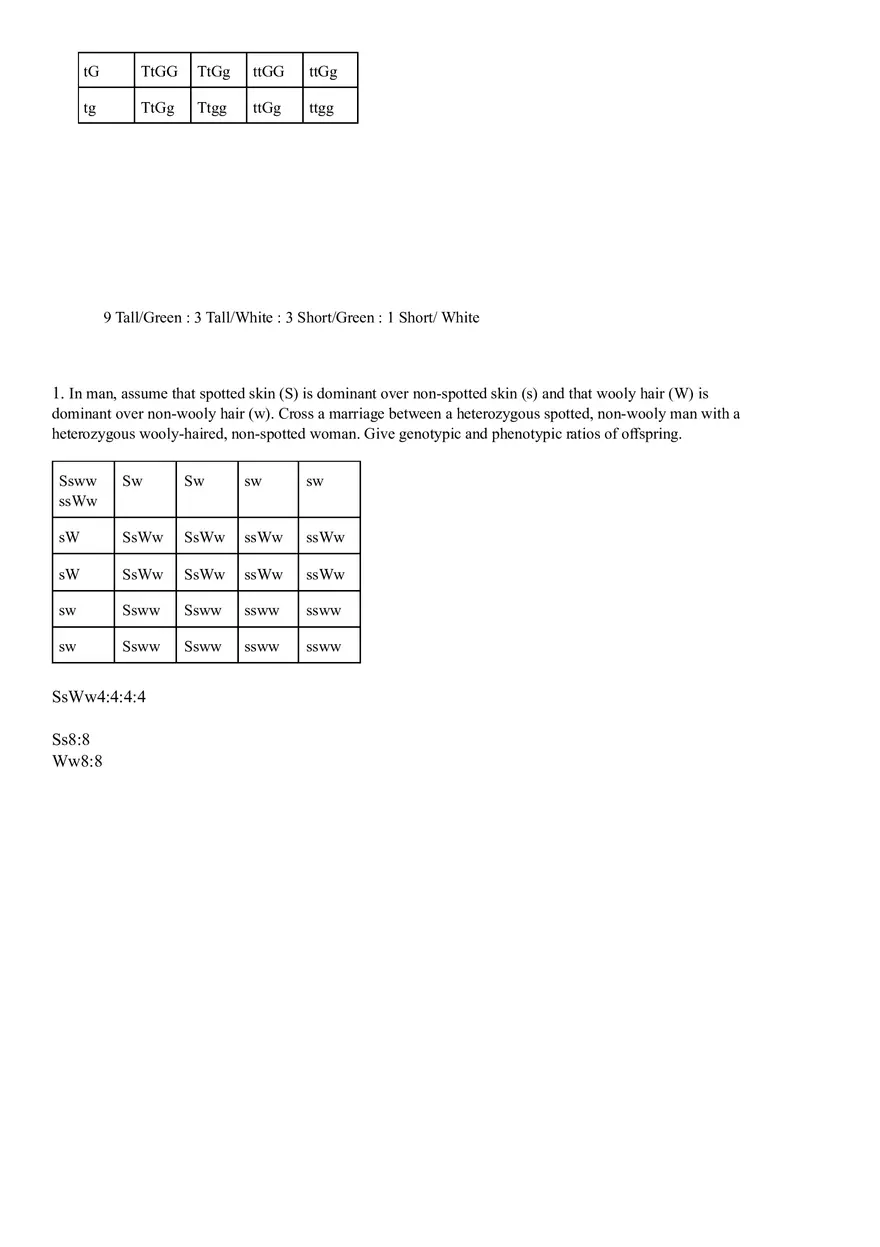 Dihybrid Crosses Worksheet - Page 3