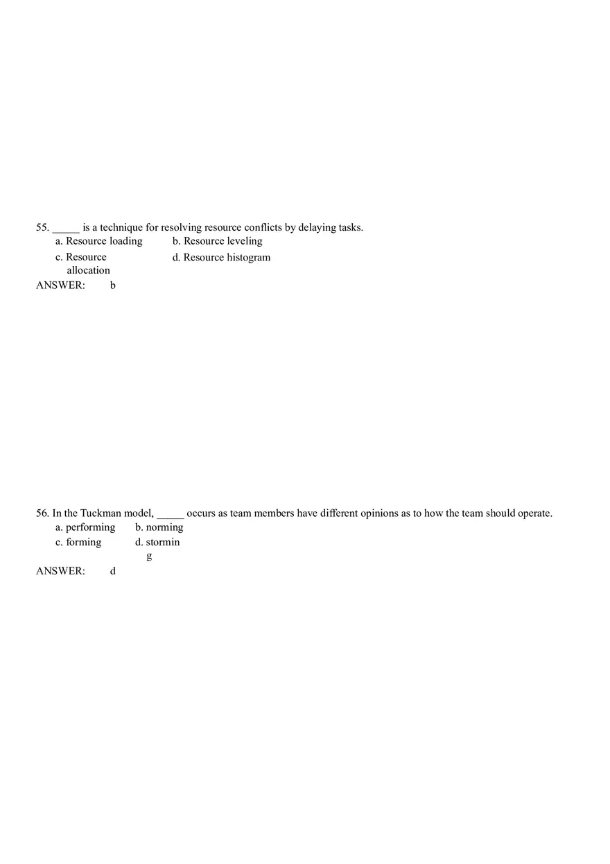 Project Human Resource Management II - Page 4