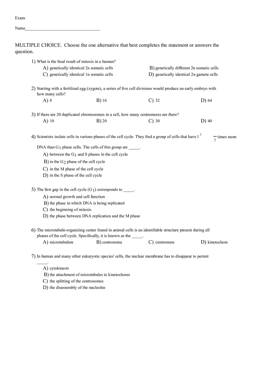 Cells Phases - Page 2