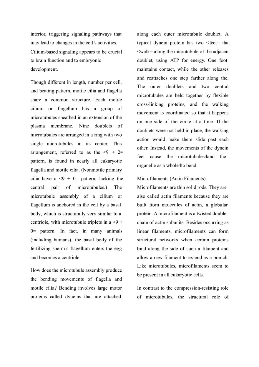 The Cytoskeleton is a Network of Fibers that Organizes Structures and Activities in the Cell - Page 4