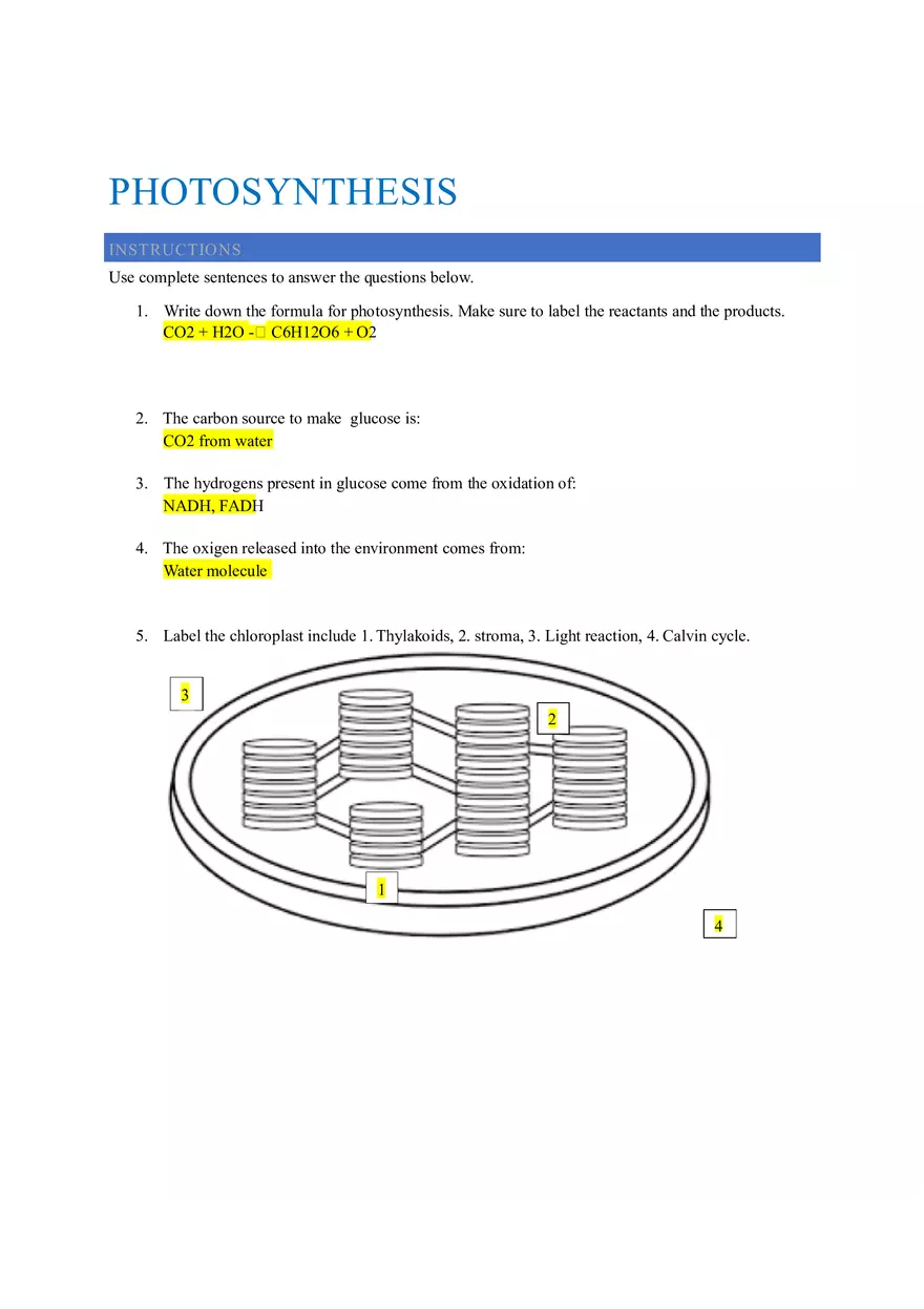 Chapter 8 Photosynthesis Class Activity Notes - Page 1
