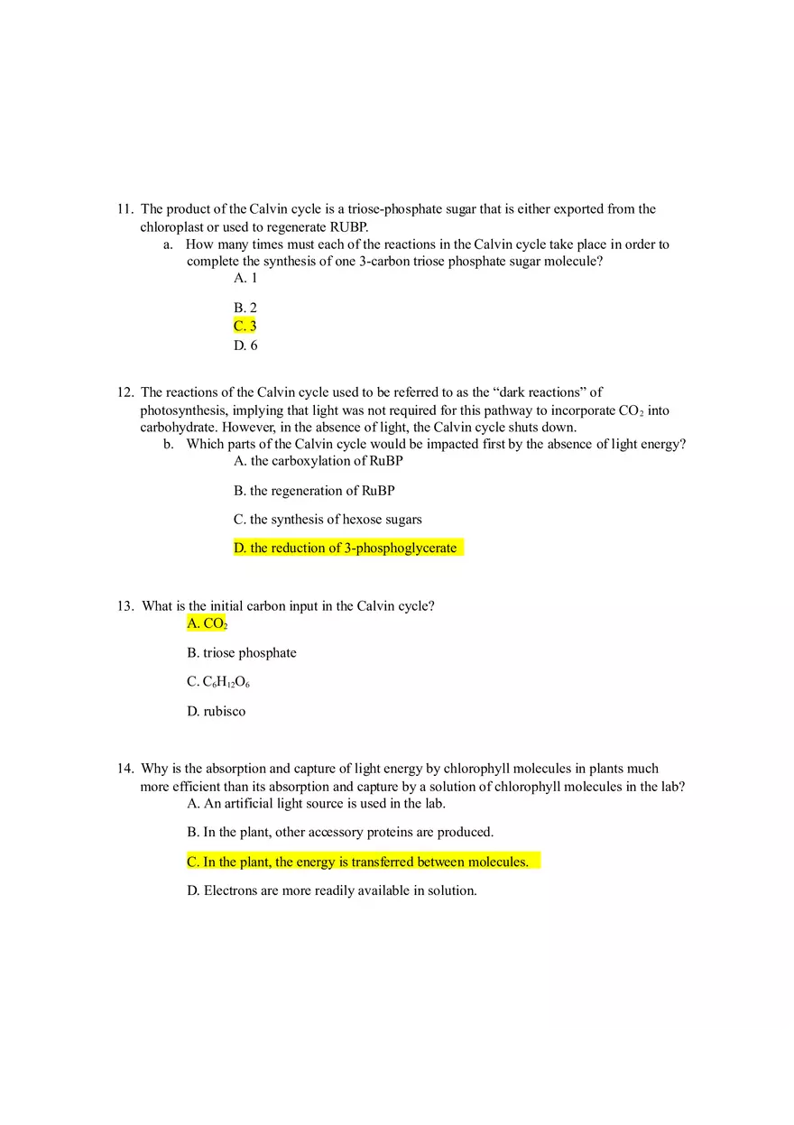 Chapter 8 Photosynthesis Class Activity Notes - Page 3