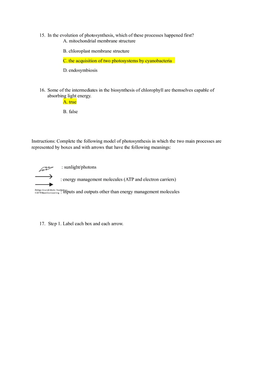 Chapter 8 Photosynthesis Class Activity Notes - Page 4