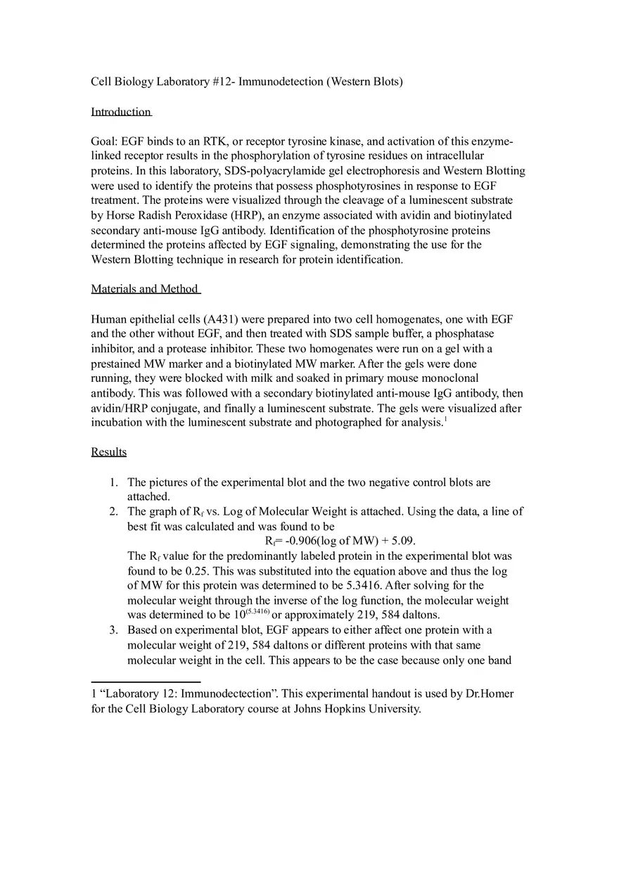 Lab Report Immunodetection (Western Blots) - Page 1