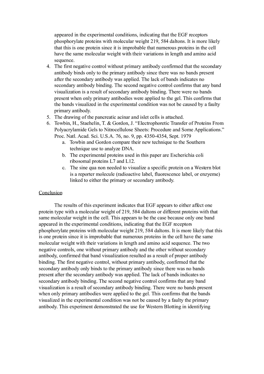 Lab Report Immunodetection (Western Blots) - Page 2