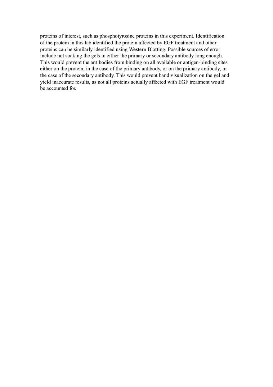 Lab Report Immunodetection (Western Blots) - Page 3