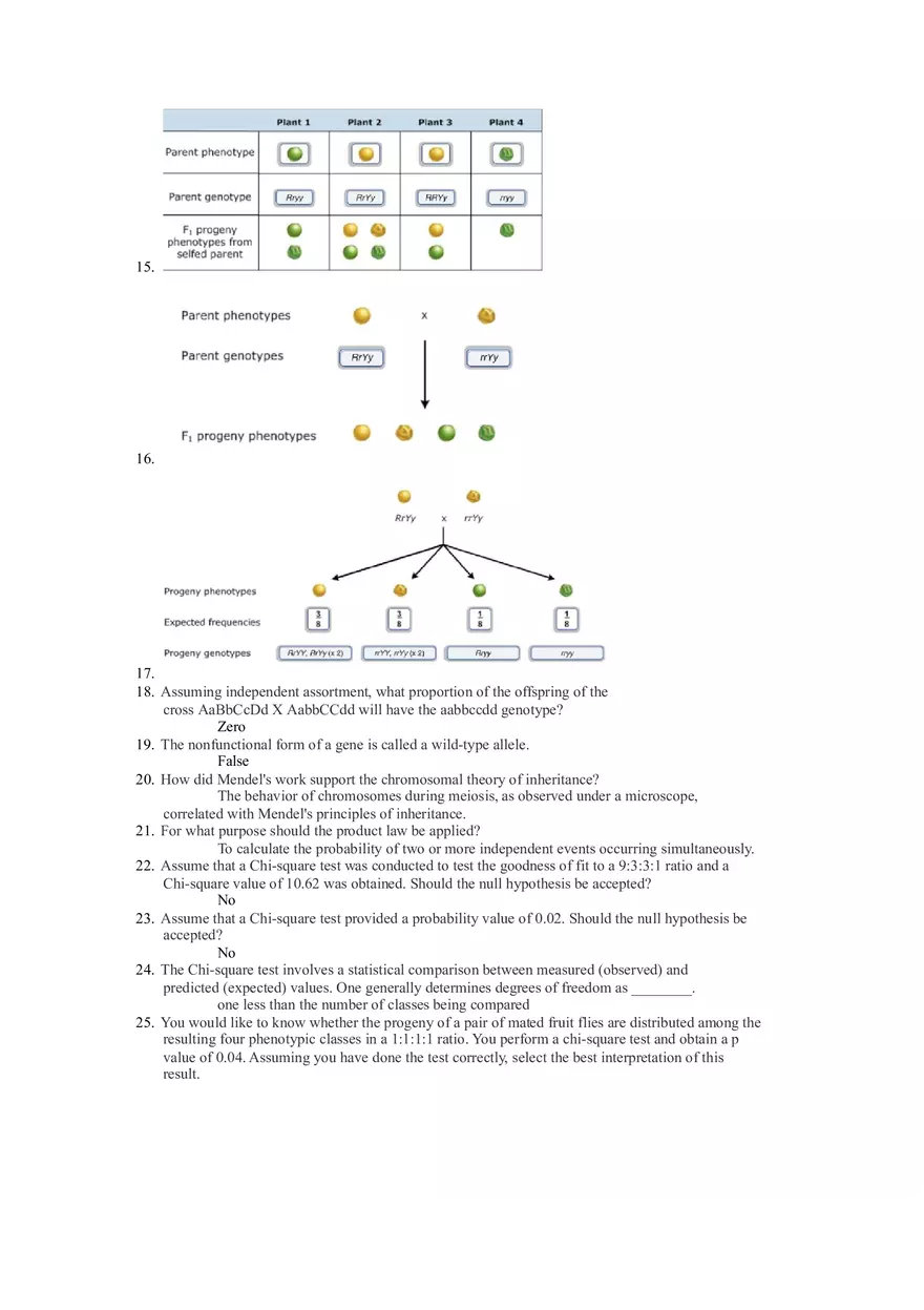 Chapter 3 Review Genetics - Page 2