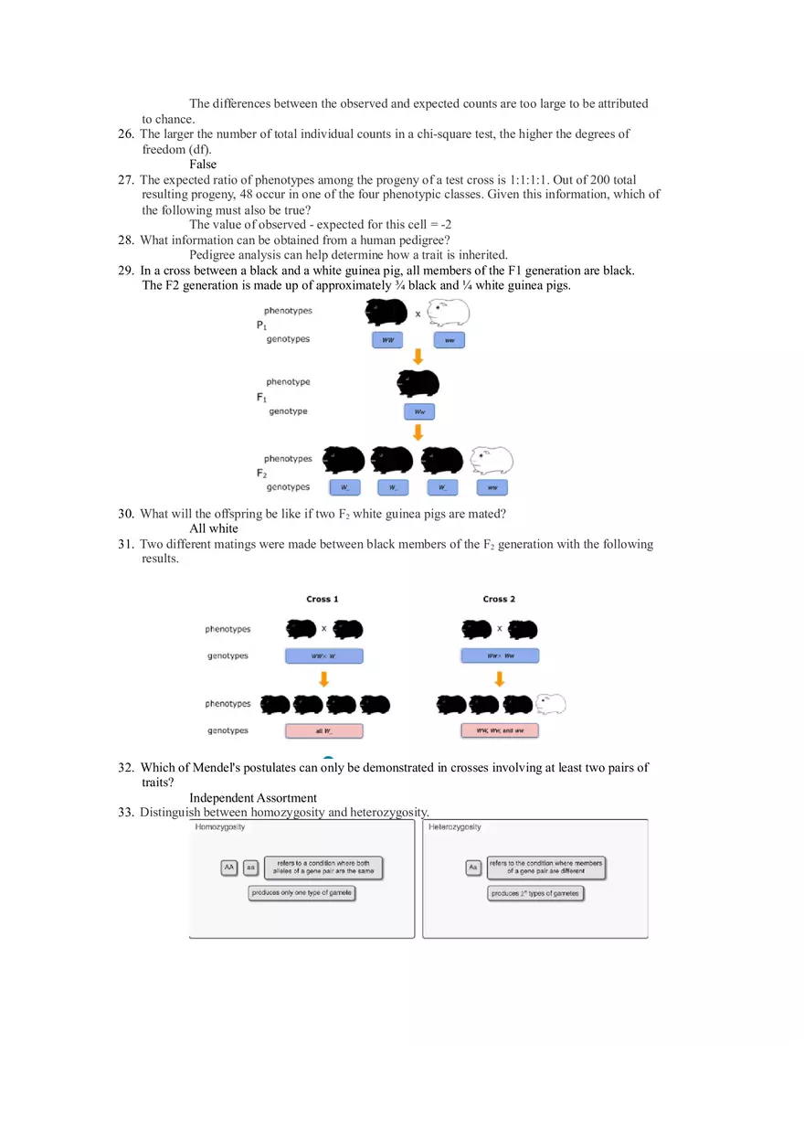 Chapter 3 Review Genetics - Page 3