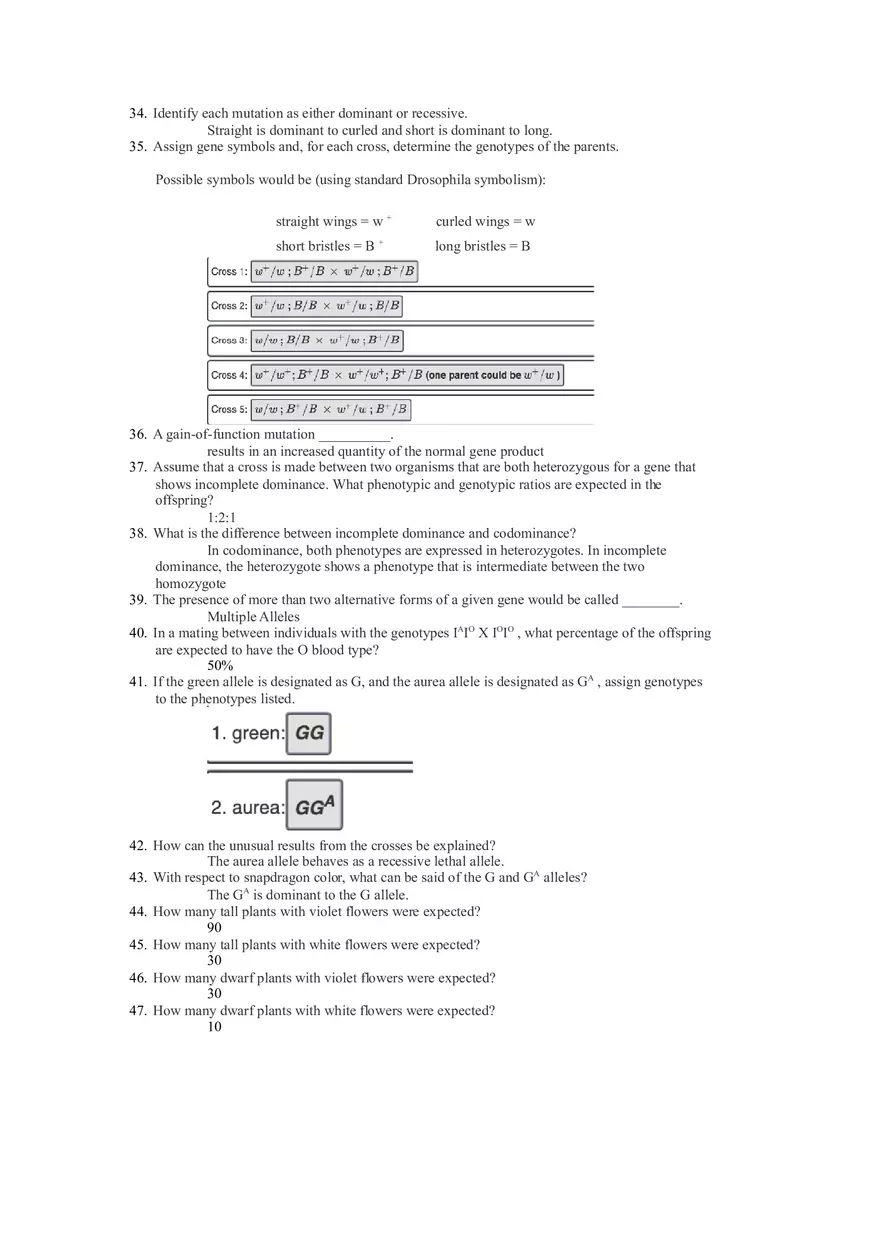 Chapter 3 Review Genetics - Page 4