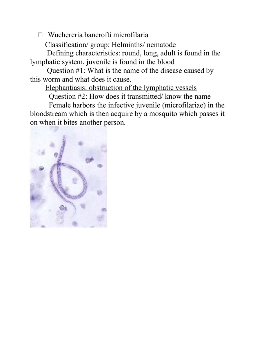 Classification - Algae - Page 2
