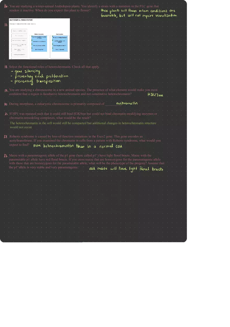 Molecular Genetics Cellular Development and Inheritance - Page 2
