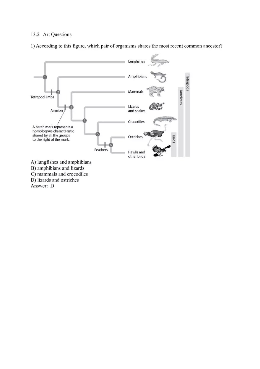 How Populations Evolve Part 2 - Page 9