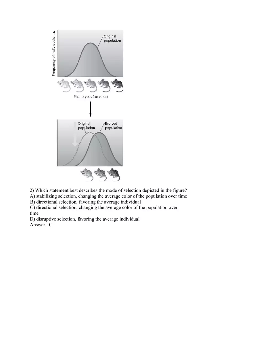 How Populations Evolve Part 2 - Page 10