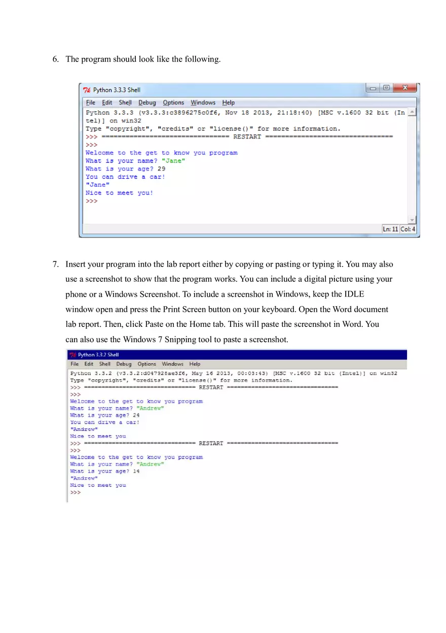 Information Sciences Lab - Python Programming - Page 4