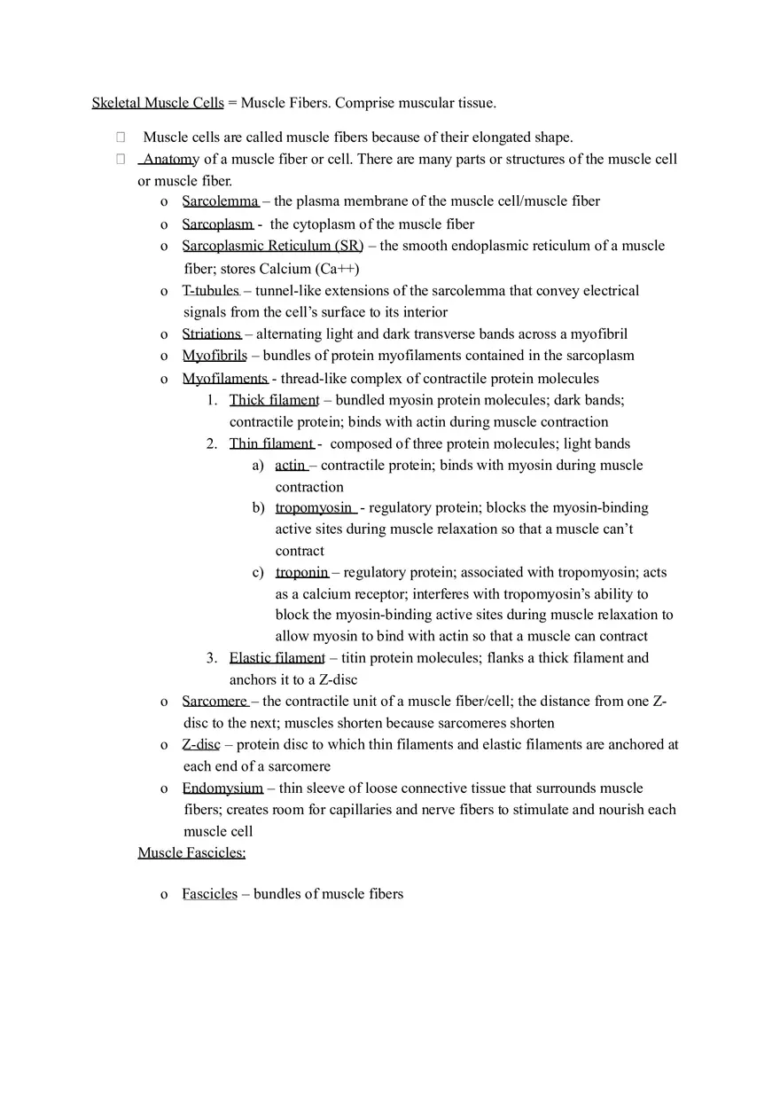 Muscular System and Muscular Tissue Review - Page 4