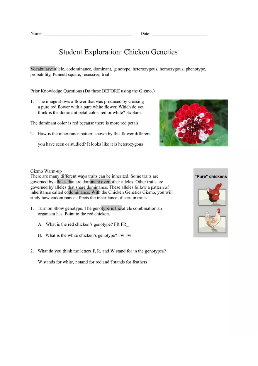 Chicken Genetics - Page 1